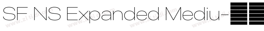 SF NS Expanded Mediu字体转换 SF NS Expanded Mediu字体转换